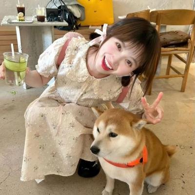 爆笑虫子 第一季
